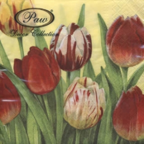 Салфетка для декупажа Tulips World Yellow SDL003101 ― VIP Office HobbyART