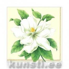 Salvrätik BOTANIC MAGNOLIA champagne ― VIP Office HobbyART