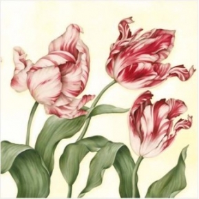 Салфетка для декупажа Tulipa Sylvestris red SDL023000 ― VIP Office HobbyART