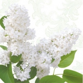 Салфетка для декупажа White lilac SDL460000 ― VIP Office HobbyART