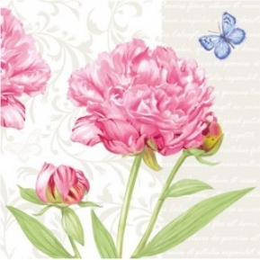 Salvrätik Garden Peony SDL470000 ― VIP Office HobbyART