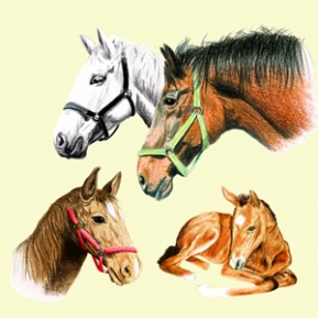 Салфетка для декупажа 13306185 33 x 33 cm HORSES ― VIP Office HobbyART