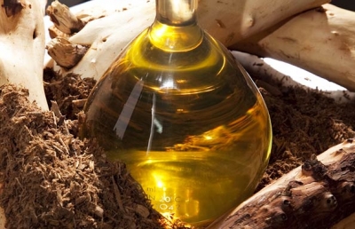 Fragrance oil 10ml, Sandalwood ― VIP Office HobbyART
