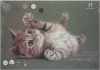 Pastel pads A4"Warm colors" 15 sh, 5 colors