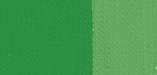 304 Acrylic paints Polycolor 20ml, Maimeri Brilliant Green Light ― VIP Office HobbyART
