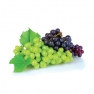 Fragrance oil 50ml, grape