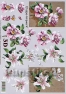 Decoupage paper 3D A4  LeSuh 4169495