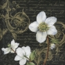 Salvrätik L-486107 - 33x33 cm 