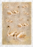 Рисовая бумага для декупажа с рисунком ANI_0018