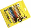 Sets of oil pastels 24pcs "Phoenix"