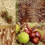 Napkin Chestnuts and Acorns SDL046000