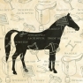 Napkin 13305625 33 x 33 cm HORSE CLASSICS CREAM