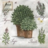 Napkin 13306735 33 x 33 cm Mixed Herbs