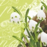 Napkin 210916 33 x 33 cm Leucojum vernum