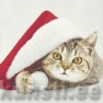 Salvrätik 60638 33 x 33 cm Santa cat