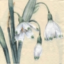 Salvrätik L-469260 33 x 33 cm 