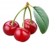 Fragrance oil 50ml, cherry